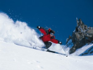Skirejser